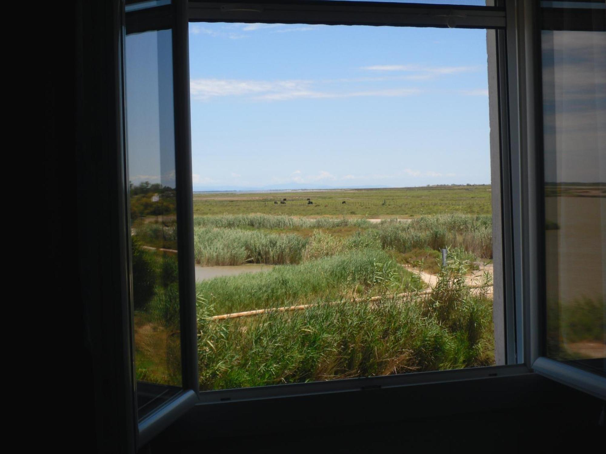 Chambre Les Flamants, Avec Vue Imprenable Sur Les Etangs, Les Oiseaux, La Nature, Petit Dejeuner Compris Saintes-Maries-de-la-Mer Exterior foto